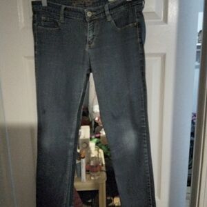 Arizona Jean Company Women's Blue Skinny Jeans